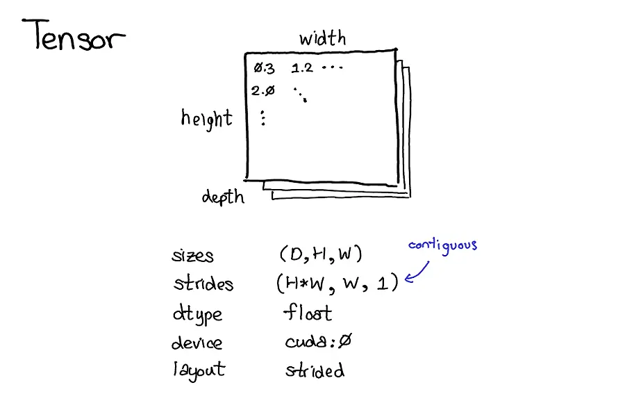 Torch Format Pytorch张量内存布局 - BimAnt